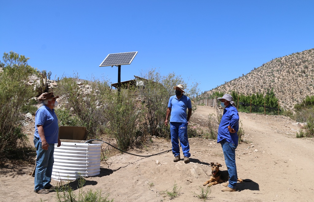 Sistema solar del Ministerio de Energía permite a crianceros obtener forraje y hortalizas