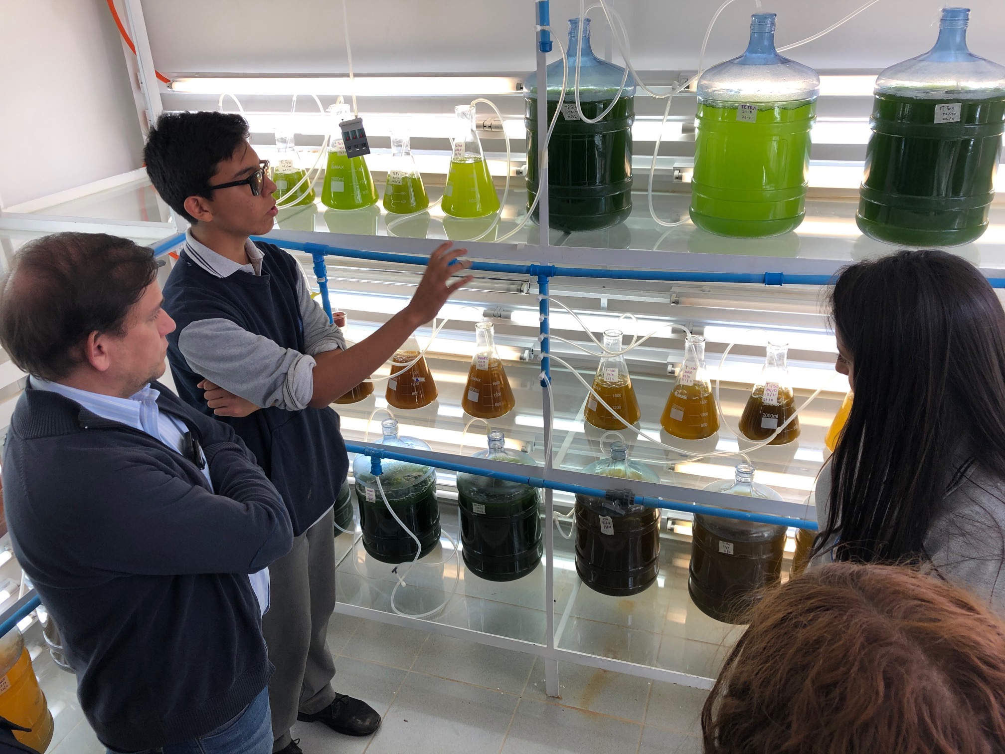 Proyecto de innovación social en Tongoy apoyado por Corfo gana premio a la Innovación Inclusiva en Best Microalgae Awards 2020
