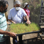 Crianceros locales valoran sistemas de forraje hidropónico impulsados por el municipio de Ovalle