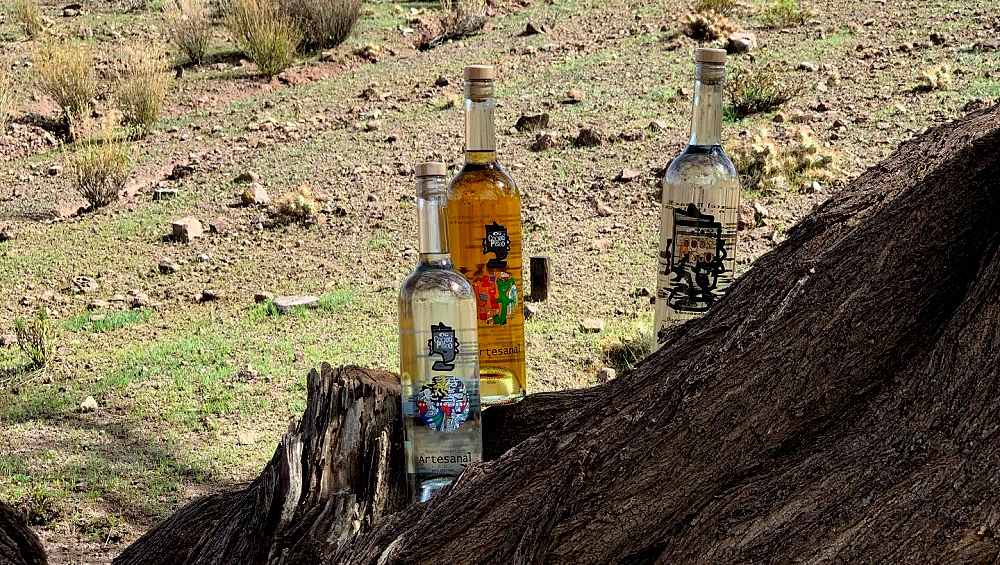 PISQUERA COGOTÍ DE COMBARBALÁ, PISCO ARTESANAL CON ESPIRITU FEMENINO