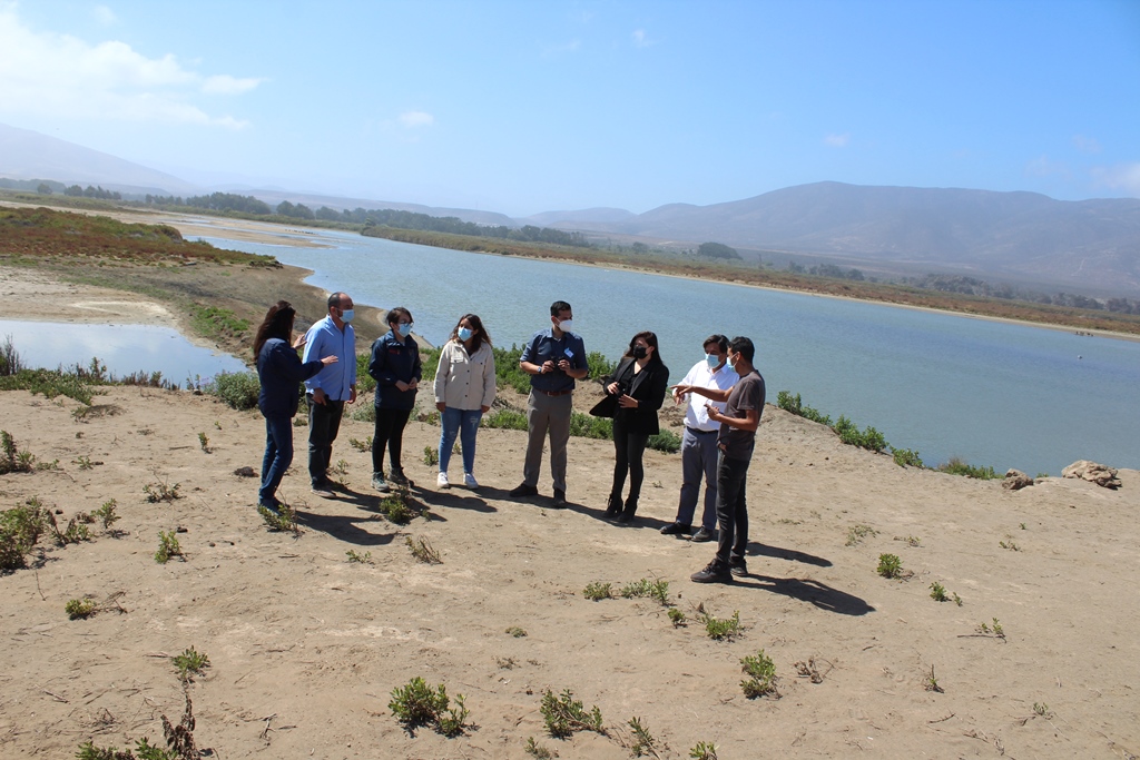 Humedal Las Salinas de Canela es declarado como de interés regional para la preservación de aves playeras