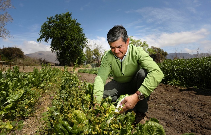 Alivio para el mundo rural: Anuncian plan para condonar intereses y renegociación de deuda para la Agricultura Familiar Campesina