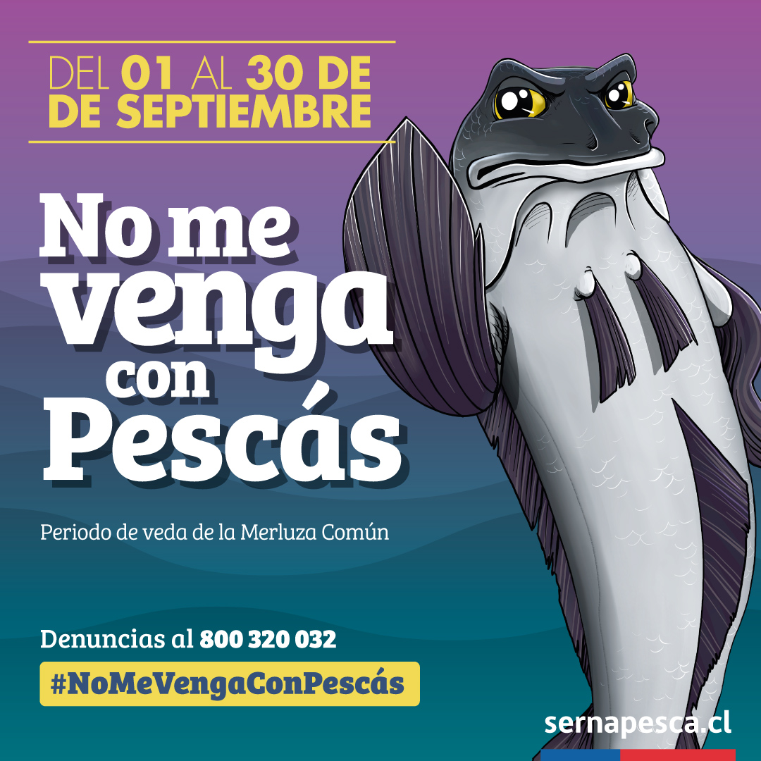 “No me venga con pescás” se denomina campaña de SERNAPESCA que invita respetar la veda de la merluza durante septiembre